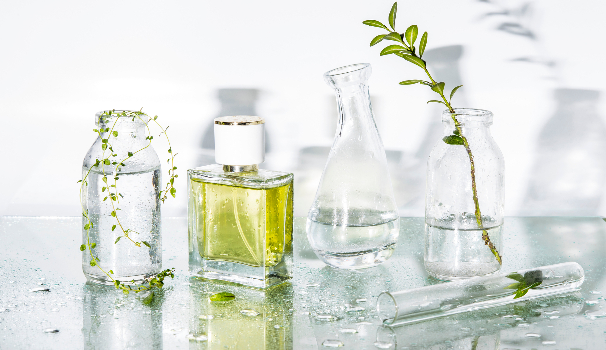 ¿Conoces las familias olfativas de los perfumes?
